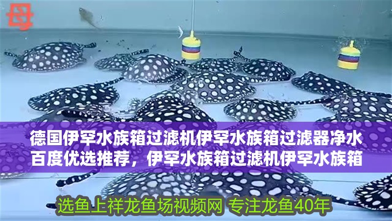 德國伊罕水族箱過濾機伊罕水族箱過濾器凈水百度優(yōu)選推薦，伊罕水族箱過濾機伊罕水族箱過濾器凈水百度優(yōu)選推薦