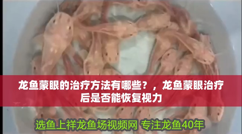 龍魚蒙眼的治療方法有哪些？，龍魚蒙眼治療后是否能恢復(fù)視力