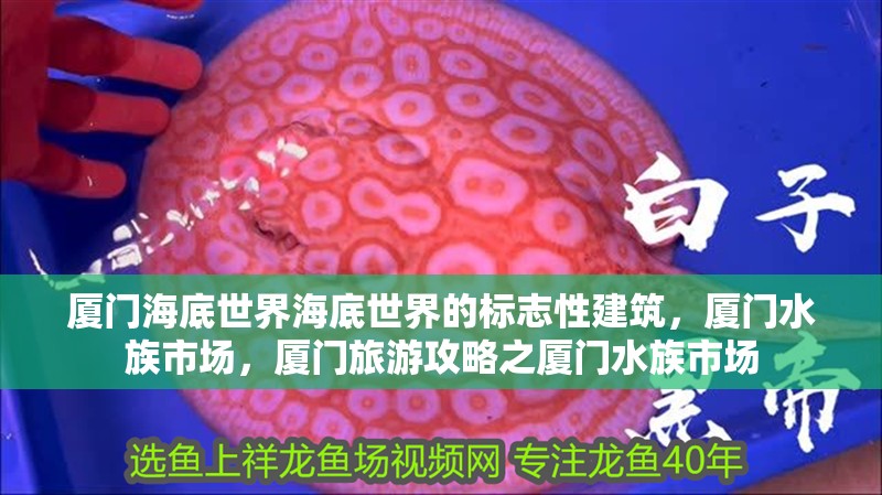 廈門海底世界海底世界的標志性建筑，廈門水族市場，廈門旅游攻略之廈門水族市場