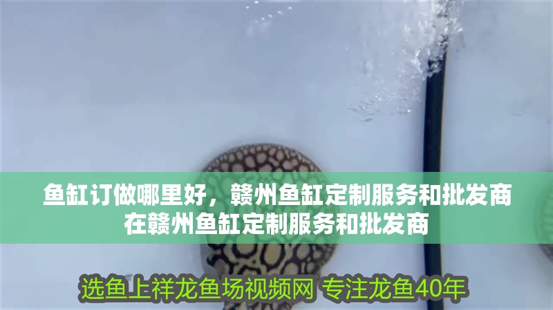 魚缸訂做哪里好，贛州魚缸定制服務和批發商在贛州魚缸定制服務和批發商