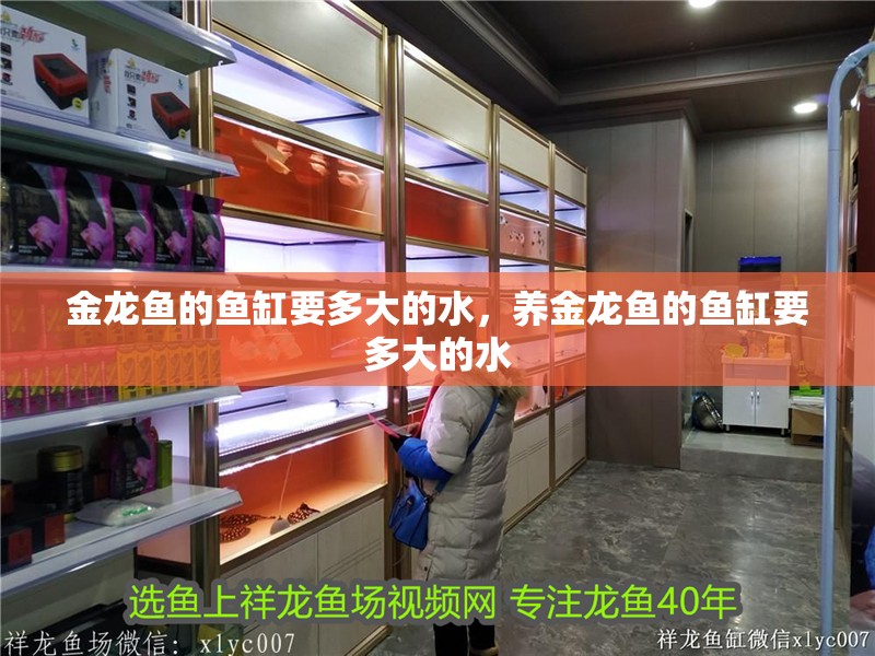 金龍魚的魚缸要多大的水,養(yǎng)金龍魚的魚缸要多大的水