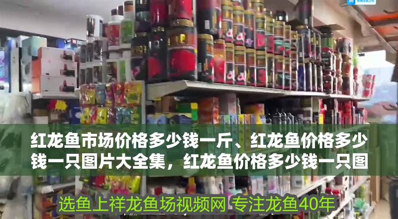 紅龍魚市場價格多少錢一斤、紅龍魚價格多少錢一只圖片大全集，紅龍魚價格多少錢一只圖片大全集