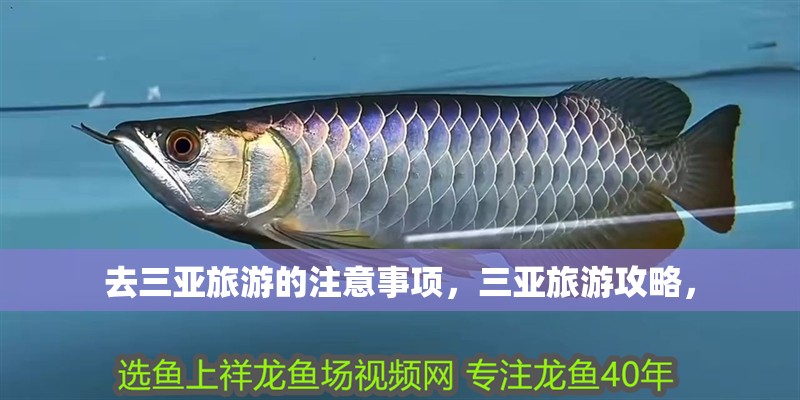 去三亞旅游的注意事項，三亞旅游攻略，