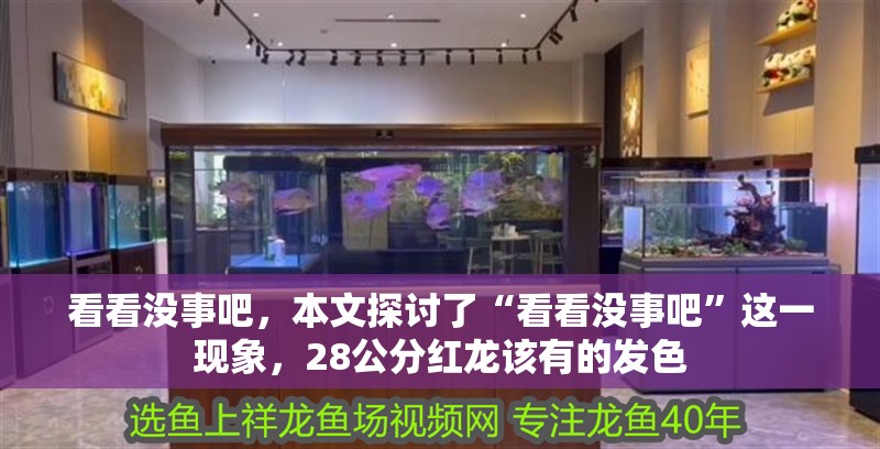 看看沒事吧，本文探討了“看看沒事吧”這一現象，28公分紅龍該有的發色