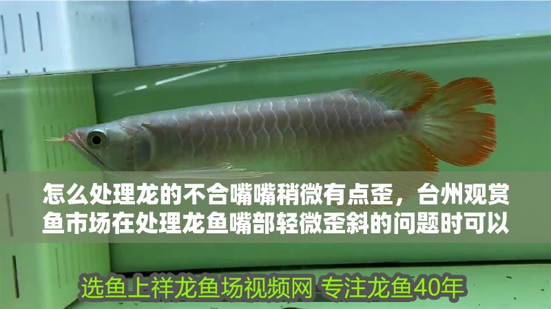 怎么處理龍的不合嘴嘴稍微有點(diǎn)歪，臺(tái)州觀賞魚市場(chǎng)在處理龍魚嘴部輕微歪斜的問題時(shí)可以采取以下幾種方法