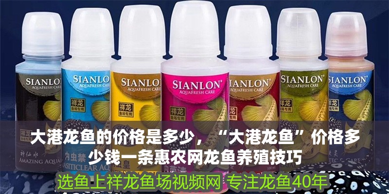 大港龍魚的價格是多少，“大港龍魚”價格多少錢一條惠農網龍魚養殖技巧