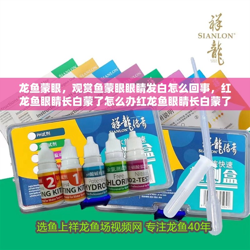 龍魚蒙眼，觀賞魚蒙眼眼睛發白怎么回事，紅龍魚眼睛長白蒙了怎么辦紅龍魚眼睛長白蒙了怎么辦