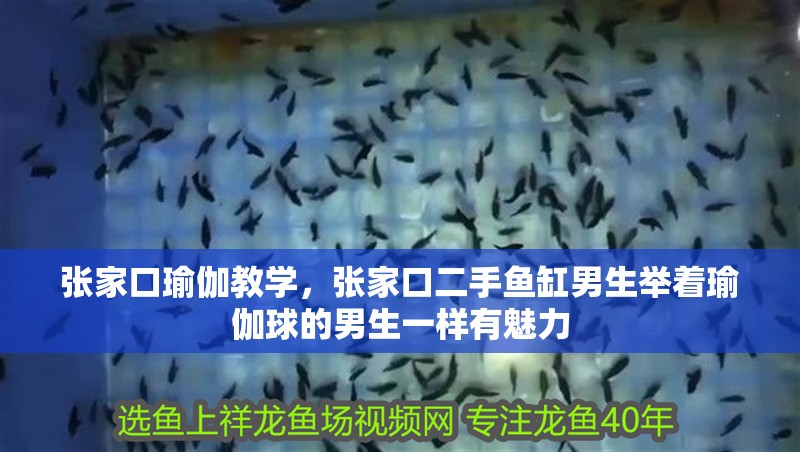 張家口瑜伽教學，張家口二手魚缸男生舉著瑜伽球的男生一樣有魅力