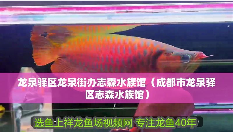 龍泉驛區(qū)龍泉街辦志森水族館（成都市龍泉驛區(qū)志森水族館）