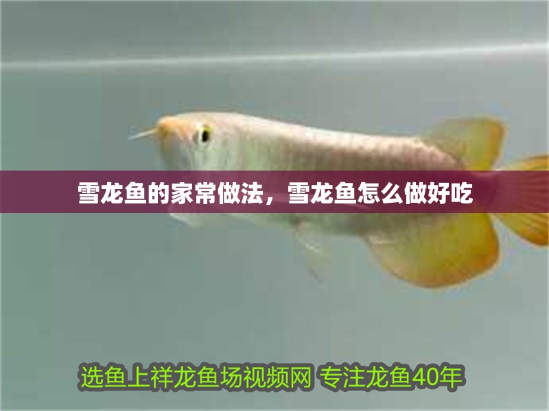 雪龍魚的家常做法，雪龍魚怎么做好吃