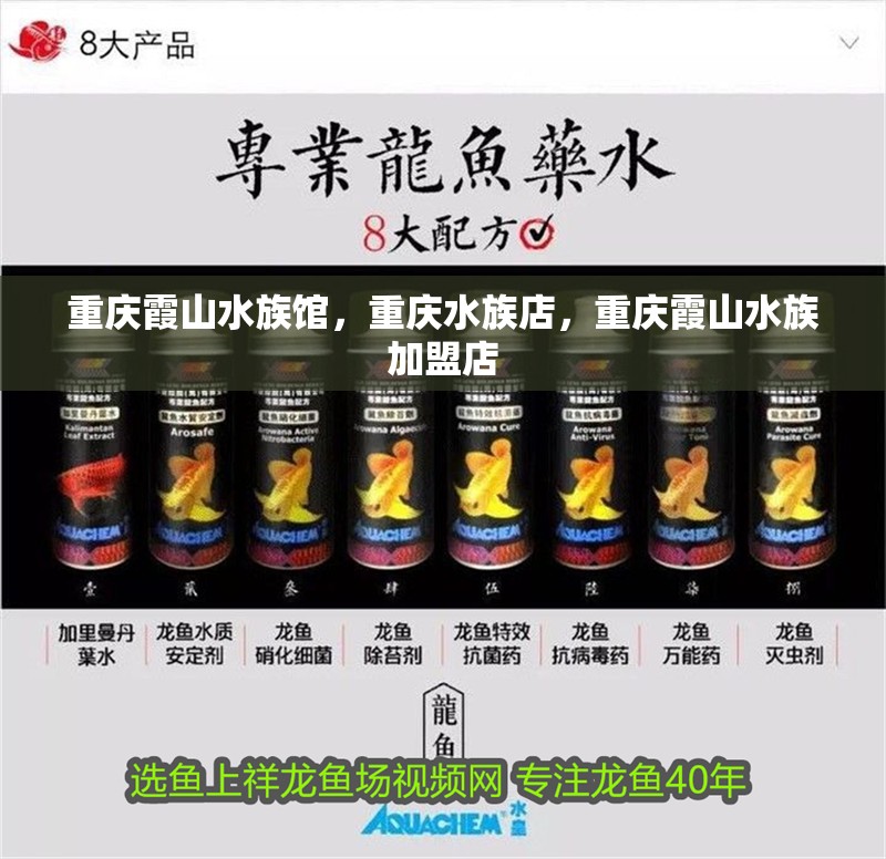 重慶<strong><mark>霞山</mark></strong>水族館，重慶水族店，重慶<strong><mark>霞山</mark></strong>水族加盟店