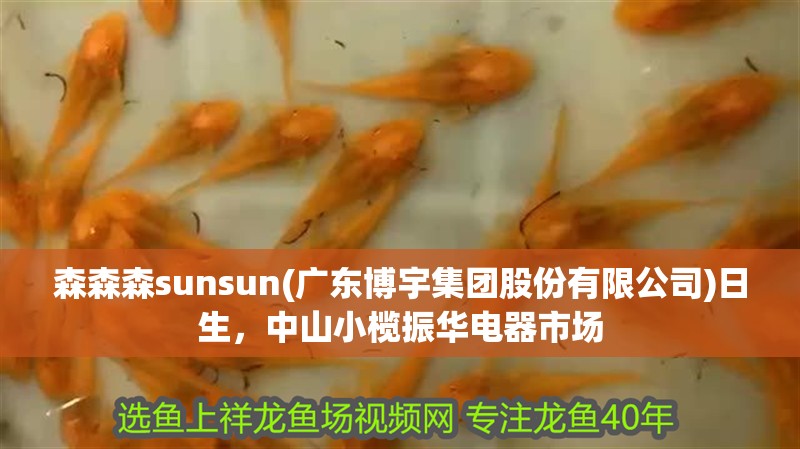 森森森sunsun(廣東博宇集團股份有限公司)日生，中山小欖振華電器市場