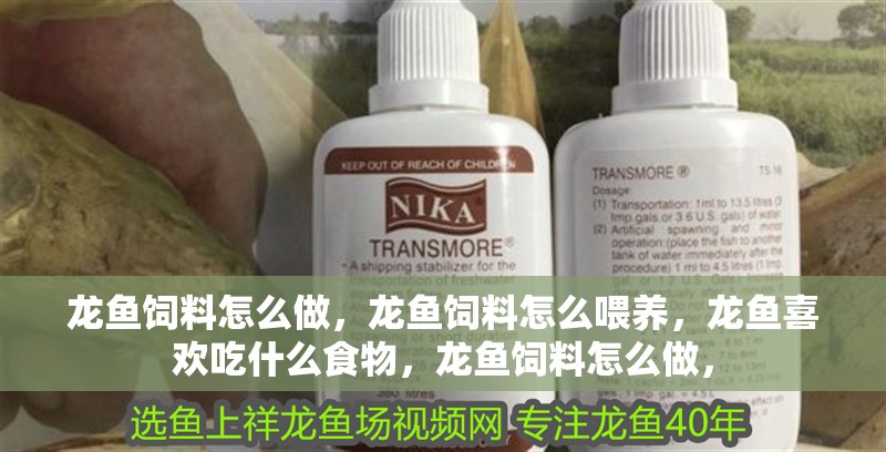龍魚飼料怎么做，龍魚飼料怎么喂養，龍魚喜歡吃什么食物，龍魚飼料怎么做，