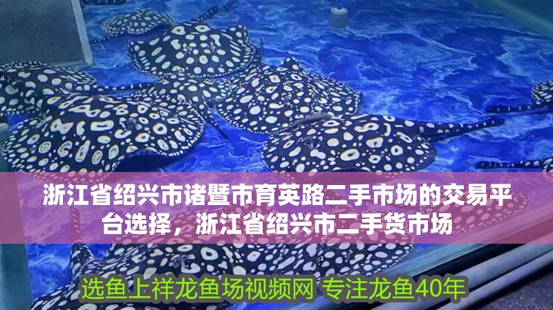 浙江省紹興市諸暨市育英路二手市場的交易平臺選擇，浙江省紹興市二手貨市場
