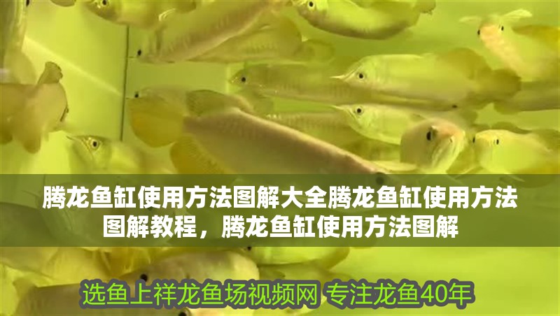 騰龍魚缸使用方法圖解大全騰龍魚缸使用方法圖解教程，騰龍魚缸使用方法圖解