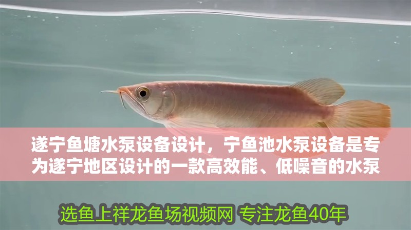 遂寧魚塘水泵設備設計，寧魚池水泵設備是專為遂寧地區設計的一款高效能、低噪音的水泵