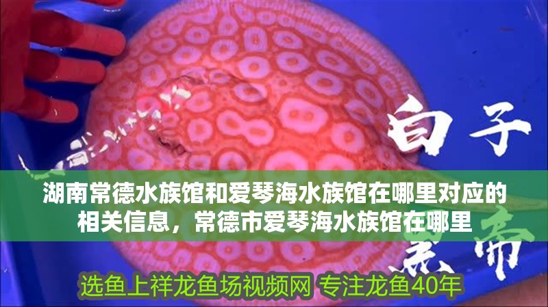 湖南<strong><mark>常德</mark></strong>水族館和愛琴海水族館在哪里對應的相關信息，<strong><mark>常德</mark></strong>市愛琴海水族館在哪里