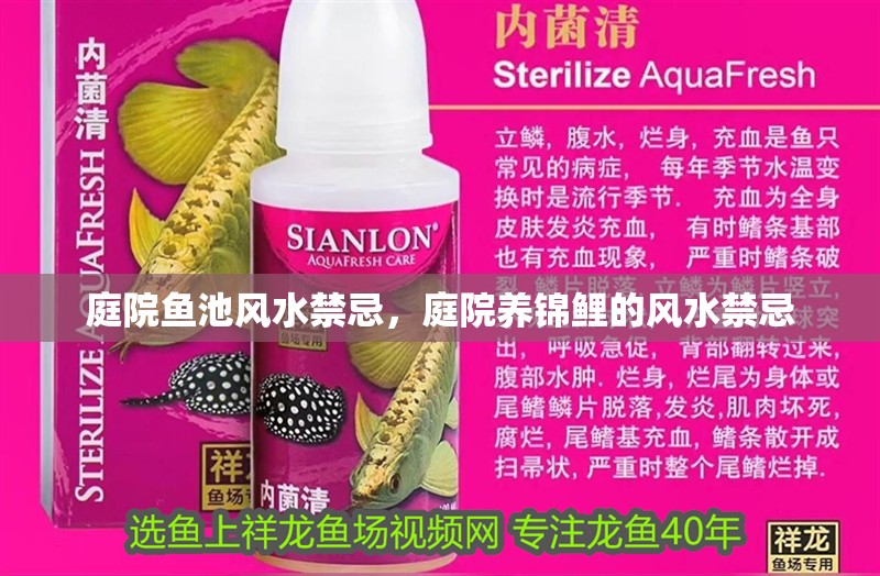 庭院魚池風水禁忌，庭院養錦鯉的風水禁忌