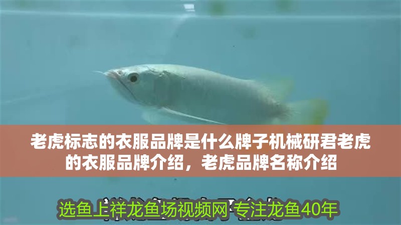 老虎標志的衣服品牌是什么牌子機械研君老虎的衣服品牌介紹，老虎品牌名稱介紹