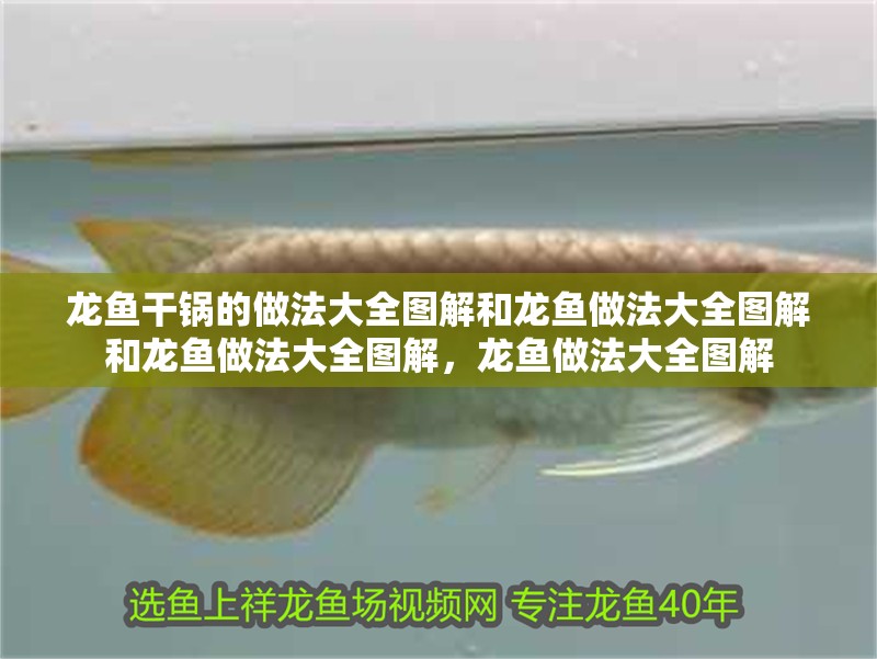 龍魚干鍋的做法大全圖解和龍魚做法大全圖解和龍魚做法大全圖解，龍魚做法大全圖解