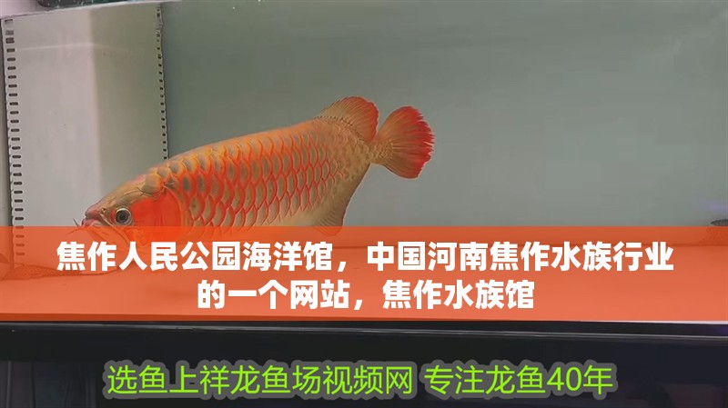 <strong><mark>焦作</mark></strong>人民公園海洋館，中國河南<strong><mark>焦作</mark></strong>水族行業的一個網站，<strong><mark>焦作</mark></strong>水族館