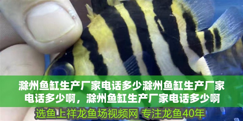滁州魚缸生產廠家電話多少滁州魚缸生產廠家電話多少啊，滁州魚缸生產廠家電話多少啊