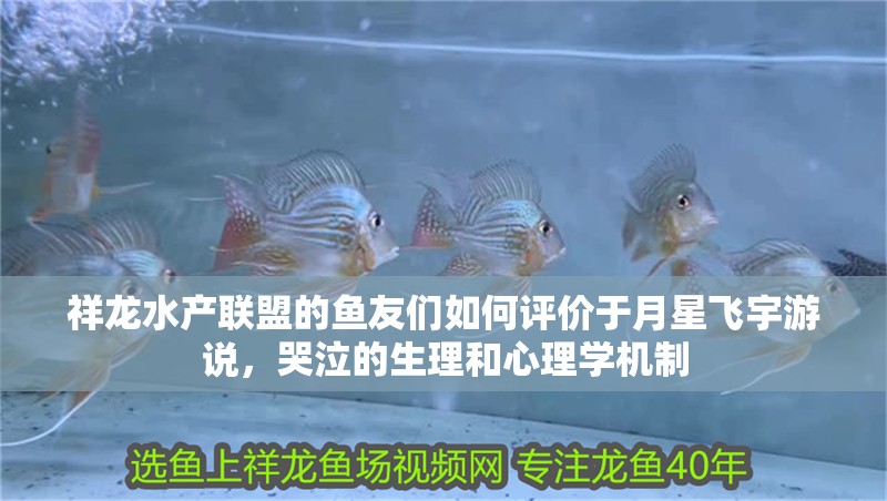 祥龍水產聯盟的魚友們如何評價于月星飛宇游說，哭泣的生理和心理學機制