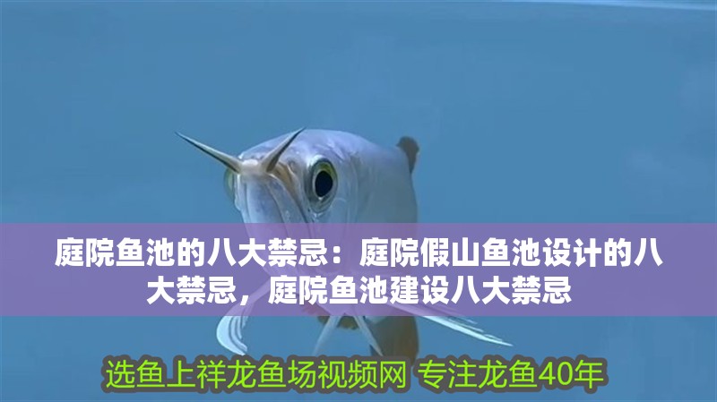 庭院魚池的八大禁忌：庭院假山魚池設計的八大禁忌，庭院魚池建設八大禁忌