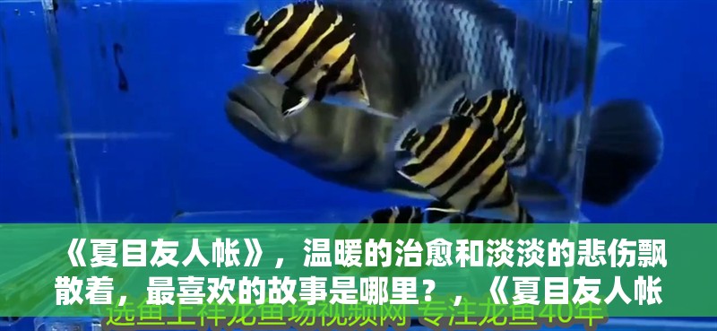 《夏目友人帳》，溫暖的治愈和淡淡的悲傷飄散著，最喜歡的故事是哪里？，《夏目友人帳》第一季度最后一集和田魚池建設最后一集