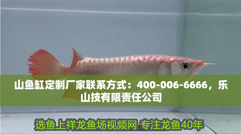 山魚缸定制廠家聯(lián)系方式：400-006-6666，樂山技有限責(zé)任公司