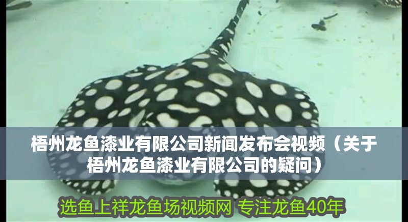 梧州龍魚漆業有限公司新聞發布會視頻（關于梧州龍魚漆業有限公司的疑問）
