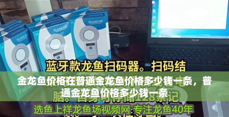 金龍魚價格在普通金龍魚價格多少錢一條，普通金龍魚價格多少錢一條