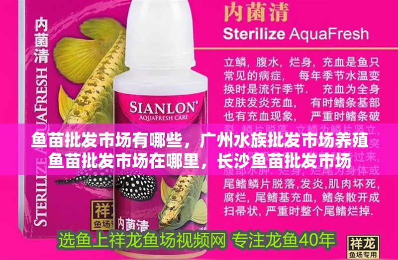 魚苗批發(fā)市場有哪些，廣州水族批發(fā)市場養(yǎng)殖魚苗批發(fā)市場在哪里，長沙魚苗批發(fā)市場