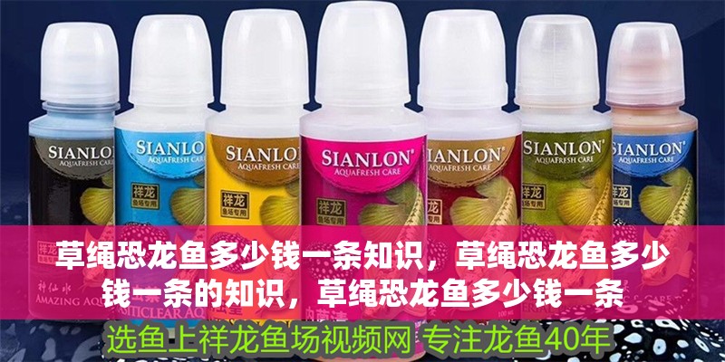 草繩恐龍魚多少錢一條知識，草繩恐龍魚多少錢一條的知識，草繩恐龍魚多少錢一條