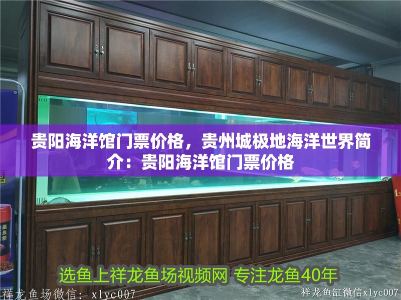 貴陽(yáng)海洋館門票價(jià)格，貴州城極地海洋世界簡(jiǎn)介：貴陽(yáng)海洋館門票價(jià)格