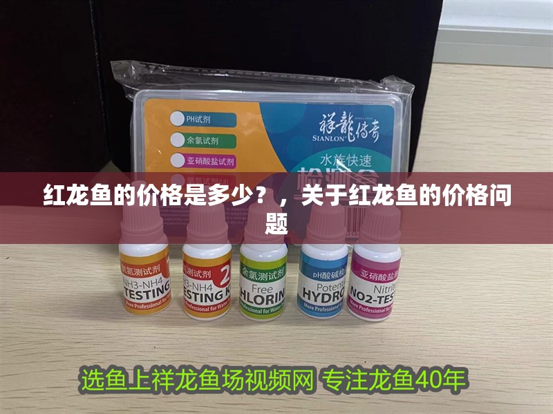 紅龍魚的價(jià)格是多少？，關(guān)于紅龍魚的價(jià)格問(wèn)題