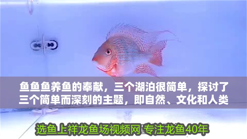 魚(yú)魚(yú)魚(yú)養(yǎng)魚(yú)的奉獻(xiàn)，三個(gè)湖泊很簡(jiǎn)單，探討了三個(gè)簡(jiǎn)單而深刻的主題，即自然、文化和人類(lèi)行為