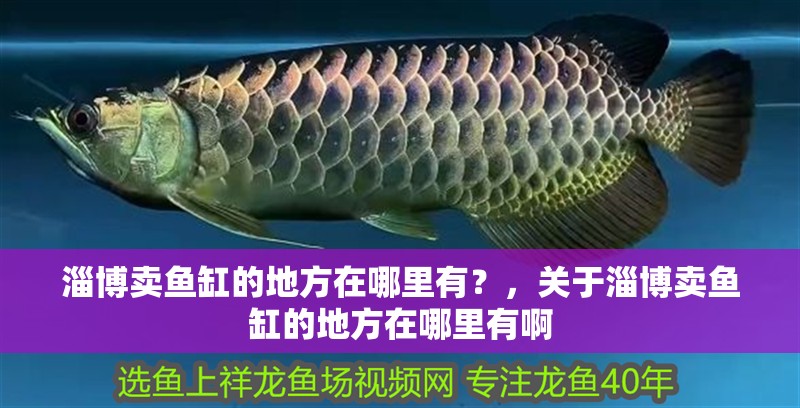 淄博賣魚缸的地方在哪里有？，關于淄博賣魚缸的地方在哪里有啊