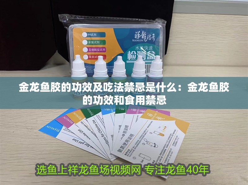 金龍魚膠的功效及吃法禁忌是什么：金龍魚膠的功效和食用禁忌