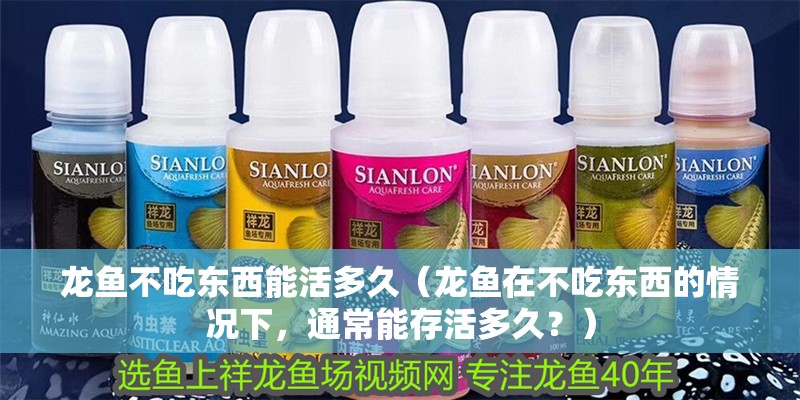 龍魚不吃東西能活多久（龍魚在不吃東西的情況下，通常能存活多久？）