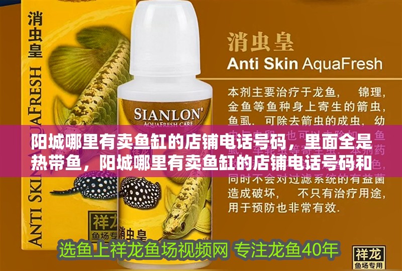 陽城哪里有賣魚缸的店鋪電話號碼，里面全是熱帶魚，陽城哪里有賣魚缸的店鋪電話號碼和陽城哪里有賣魚缸的店鋪電話號碼