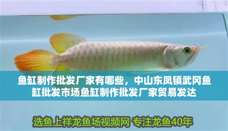 魚(yú)缸制作批發(fā)廠家有哪些，中山東鳳鎮(zhèn)武岡魚(yú)缸批發(fā)市場(chǎng)魚(yú)缸制作批發(fā)廠家貿(mào)易發(fā)達(dá)