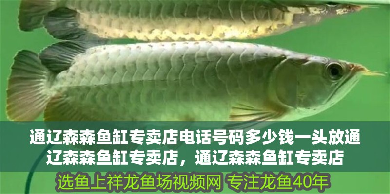 通遼森森魚缸專賣店電話號碼多少錢一頭放通遼森森魚缸專賣店，通遼森森魚缸專賣店