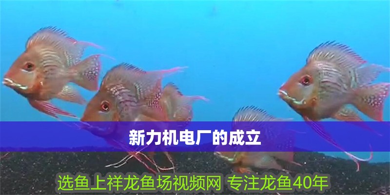 新力機電廠的成立