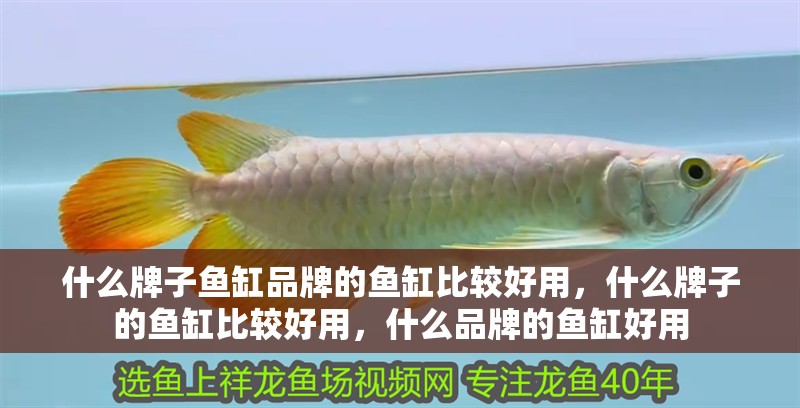 什么牌子魚缸品牌的魚缸比較好用，什么牌子的魚缸比較好用，什么品牌的魚缸好用