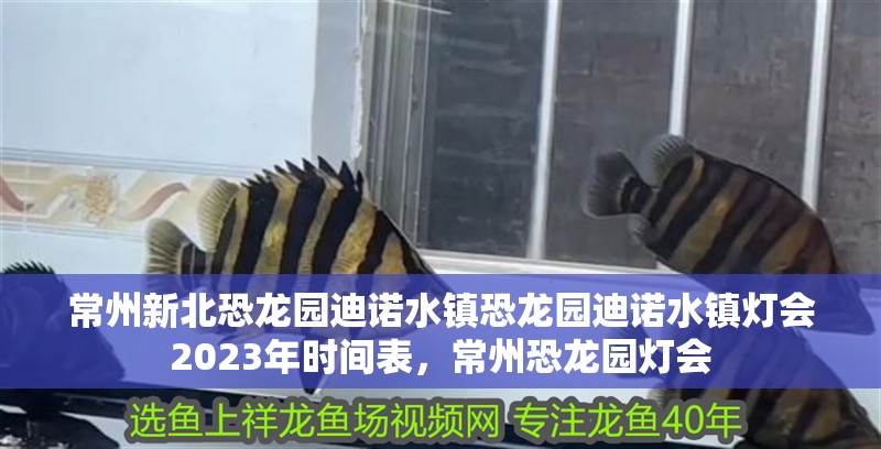 常州新北恐龍園迪諾水鎮恐龍園迪諾水鎮燈會2023年時間表，常州恐龍園燈會