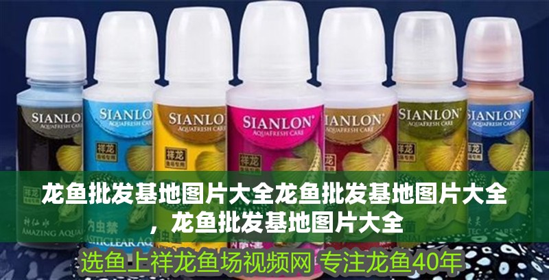 龍魚批發(fā)基地圖片大全龍魚批發(fā)基地圖片大全，龍魚批發(fā)基地圖片大全