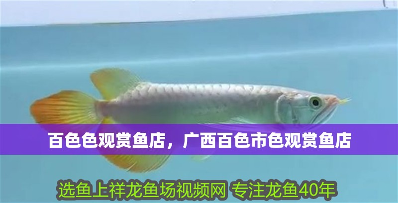 百色色觀賞魚店，廣西百色市色觀賞魚店