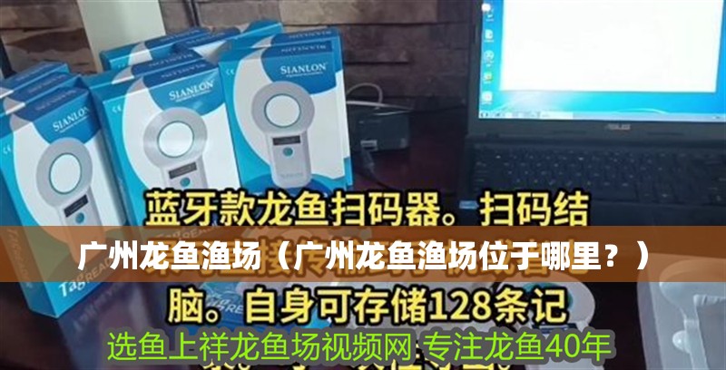 廣州龍魚漁場（廣州龍魚漁場位于哪里？）