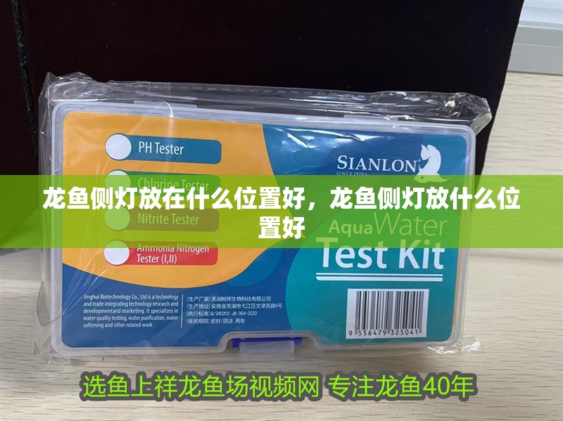 龍魚側(cè)燈放在什么位置好，龍魚側(cè)燈放什么位置好
